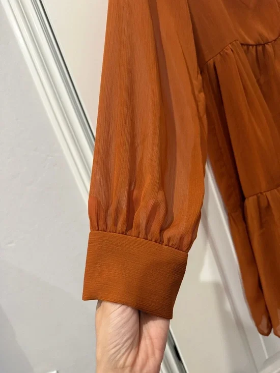 Rust Orange Ruffle Mini Dress - Picture 3 of 4